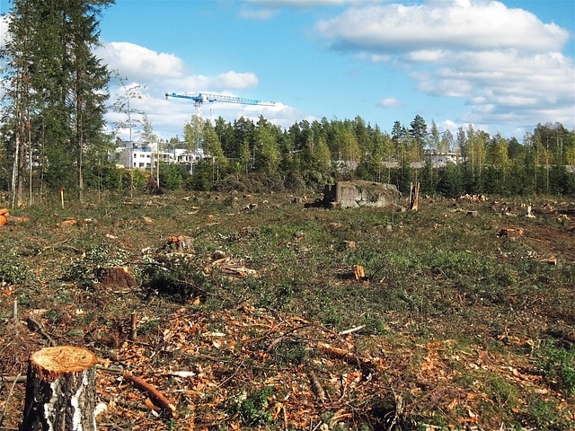 Memoria de Impacto Ambiental