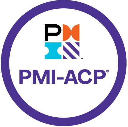 PMP. Project Manager